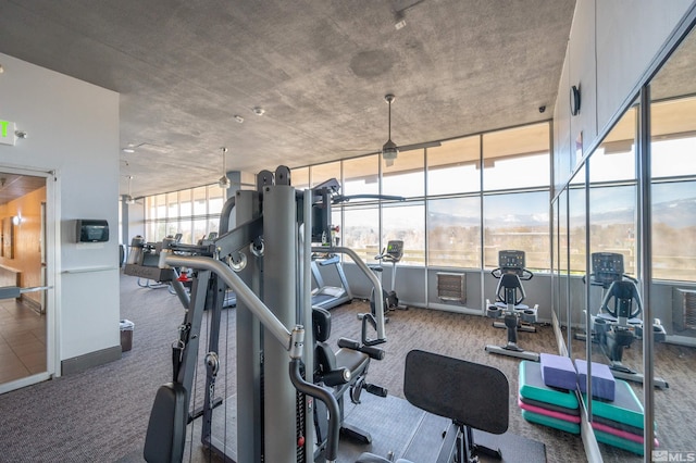 gym with carpet flooring