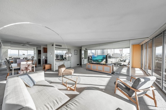 living room featuring a textured ceiling