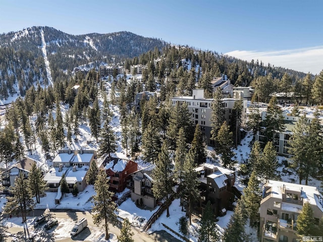 snowy aerial view featuring a mountain view