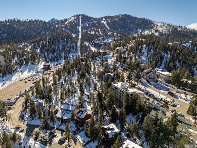 snowy aerial view with a mountain view