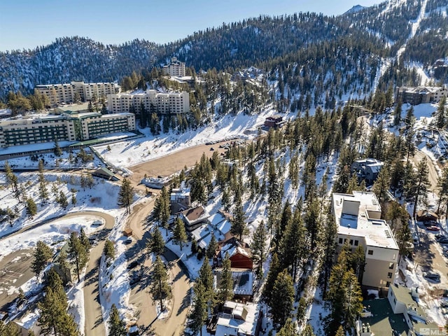 snowy aerial view with a mountain view