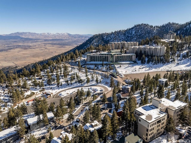 snowy aerial view featuring a mountain view