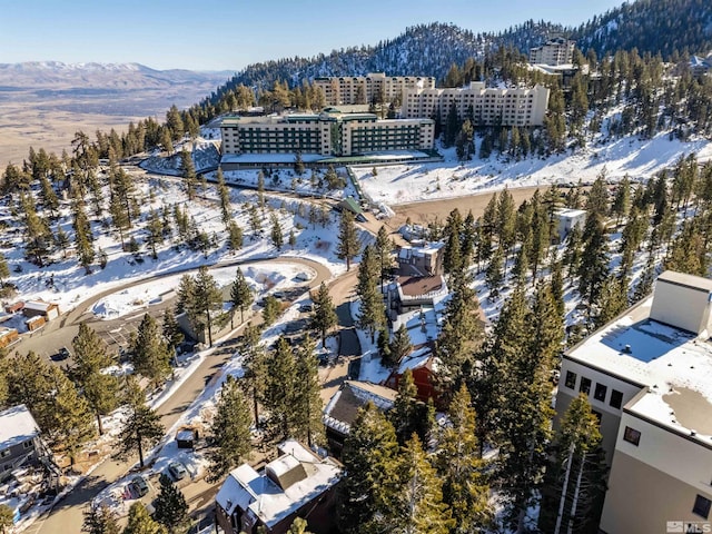 snowy aerial view with a mountain view