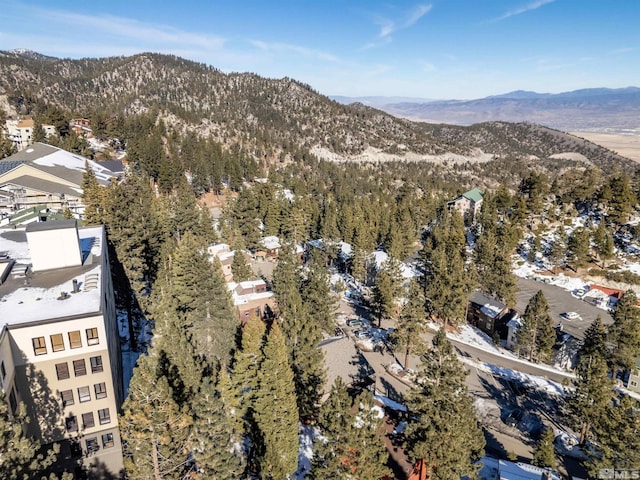 birds eye view of property featuring a mountain view