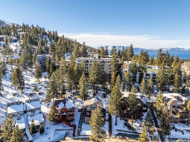 snowy aerial view featuring a mountain view