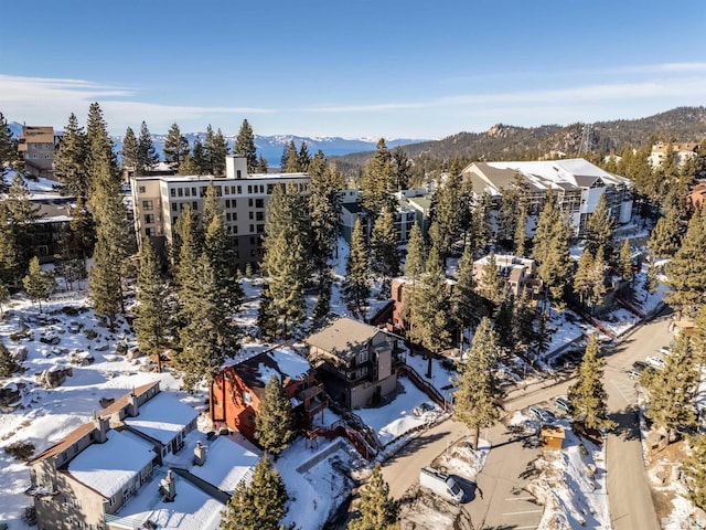 snowy aerial view featuring a mountain view