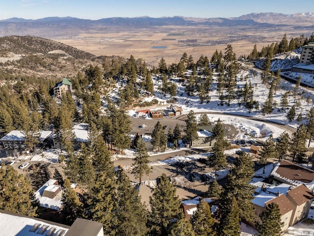 snowy aerial view featuring a mountain view