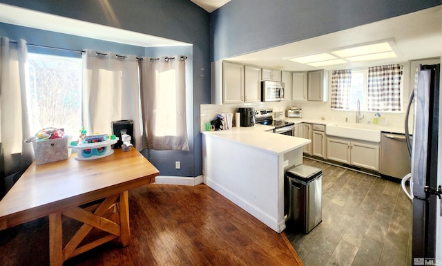 kitchen with stainless steel appliances, sink, plenty of natural light, and dark hardwood / wood-style floors