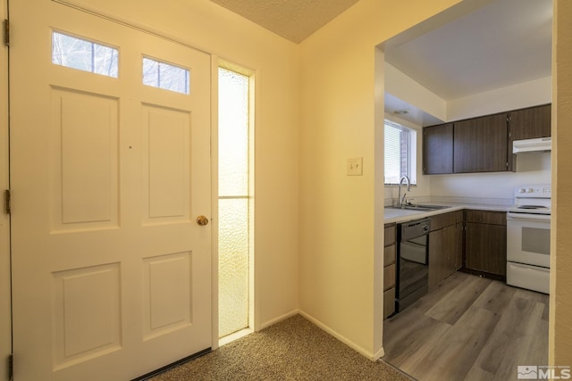 foyer with sink and light wood-type flooring