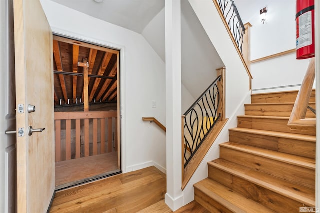 foyer featuring vaulted ceiling and wood-type flooring