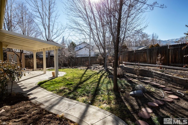 view of yard featuring a patio