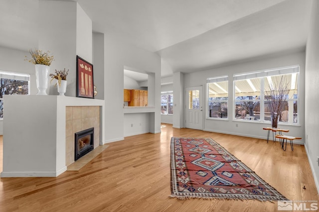 living room featuring light hardwood / wood-style floors and a fireplace