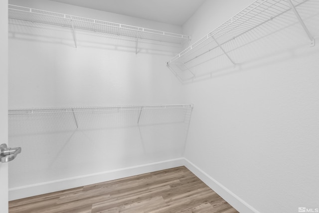 spacious closet with hardwood / wood-style flooring