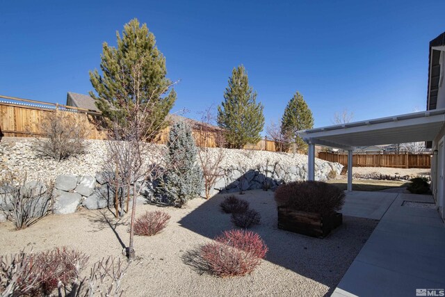 view of yard with a patio area