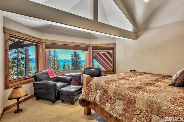 bedroom with lofted ceiling and carpet