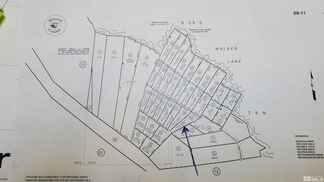 102 Shores Dr, Walker Lake NV, 89415 land for sale