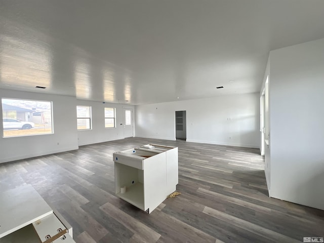 interior space featuring dark hardwood / wood-style flooring and white cabinetry