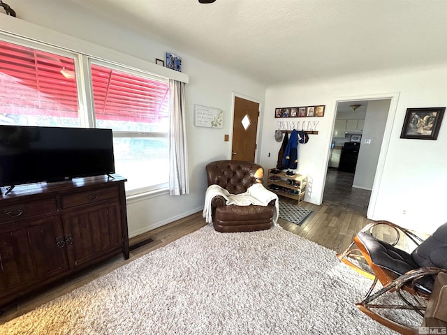 living room with wood-type flooring