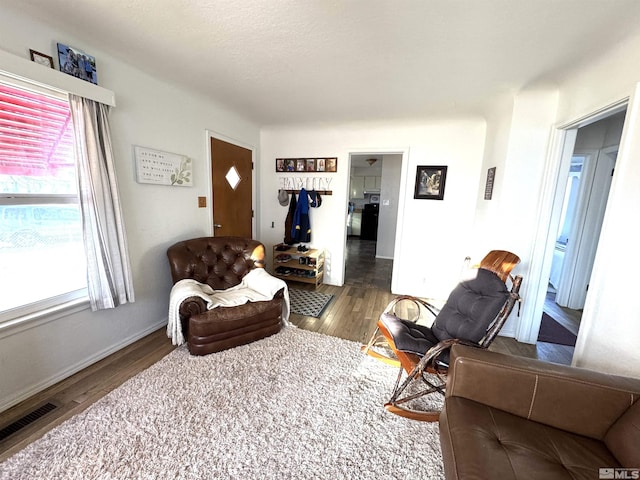 living room featuring dark hardwood / wood-style flooring and a wealth of natural light