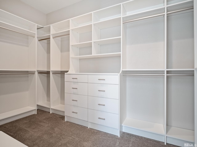 walk in closet with carpet