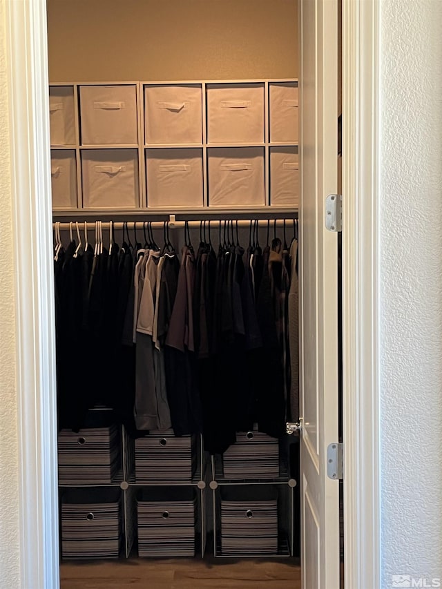 view of closet