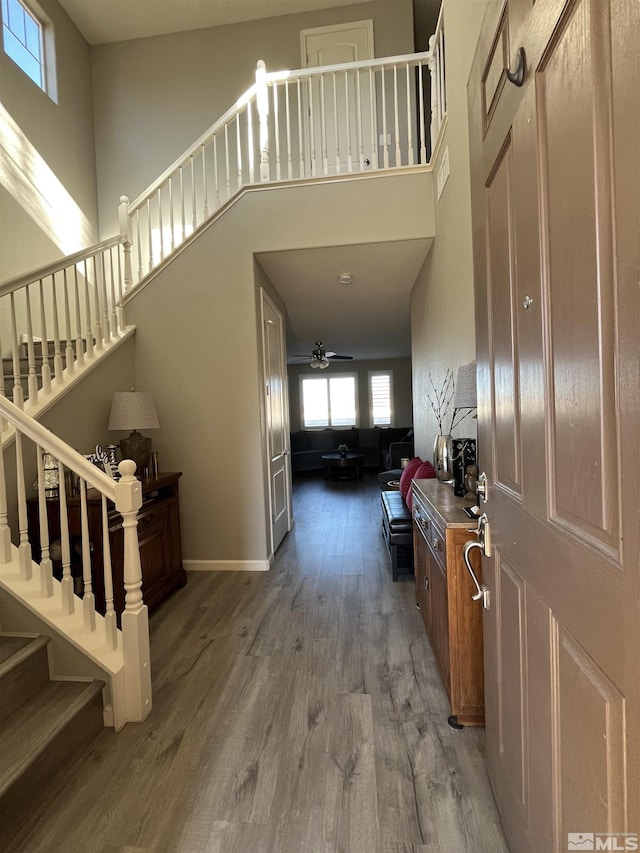 entrance foyer with a high ceiling, hardwood / wood-style flooring, and ceiling fan