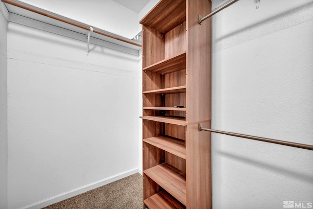 spacious closet featuring carpet flooring