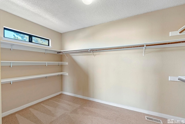 spacious closet with light carpet