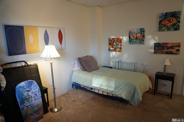 carpeted bedroom with radiator