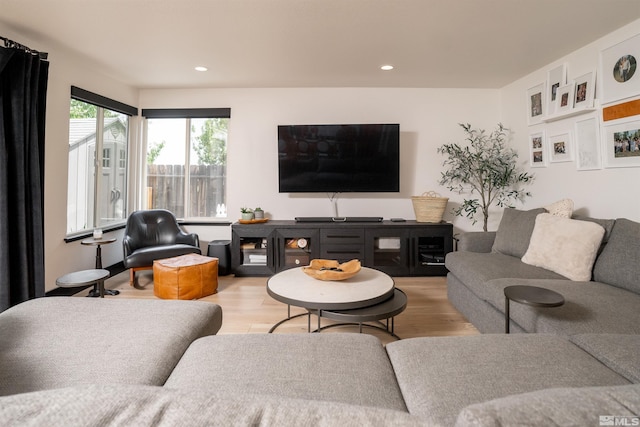 living room featuring light hardwood / wood-style floors