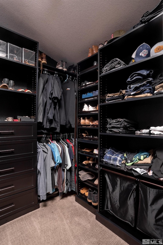 spacious closet with light colored carpet