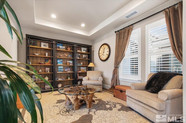 living area with a raised ceiling and a healthy amount of sunlight