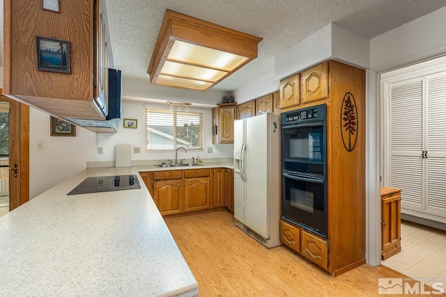 kitchen featuring sink, a textured ceiling, light wood-type flooring, and black appliances