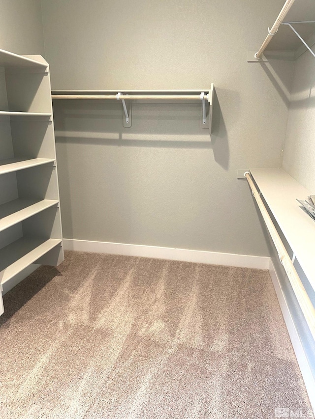 spacious closet with carpet floors