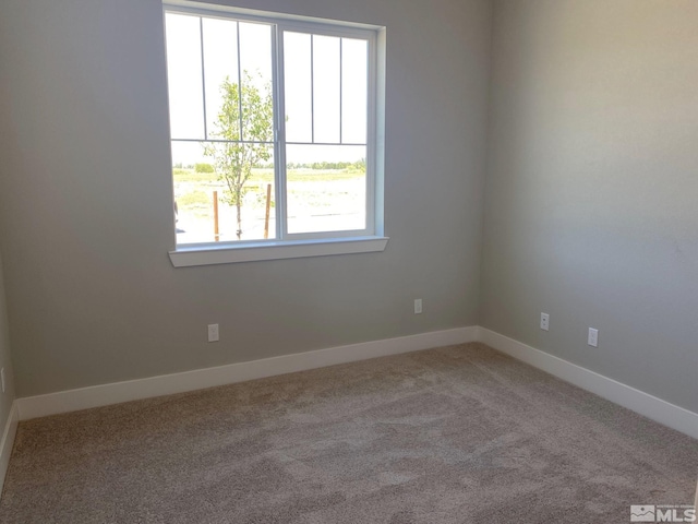 empty room featuring carpet flooring