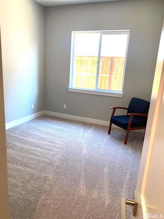 unfurnished room with carpet flooring