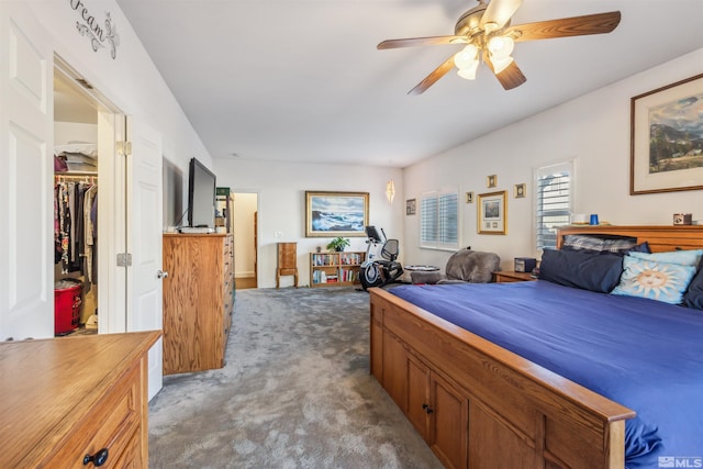 bedroom with a walk in closet, a closet, ceiling fan, and carpet floors