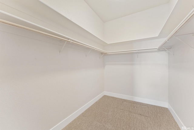 walk in closet with carpet