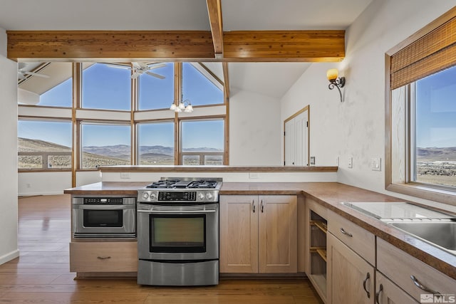 kitchen featuring stainless steel appliances, light hardwood / wood-style flooring, a mountain view, and light brown cabinets