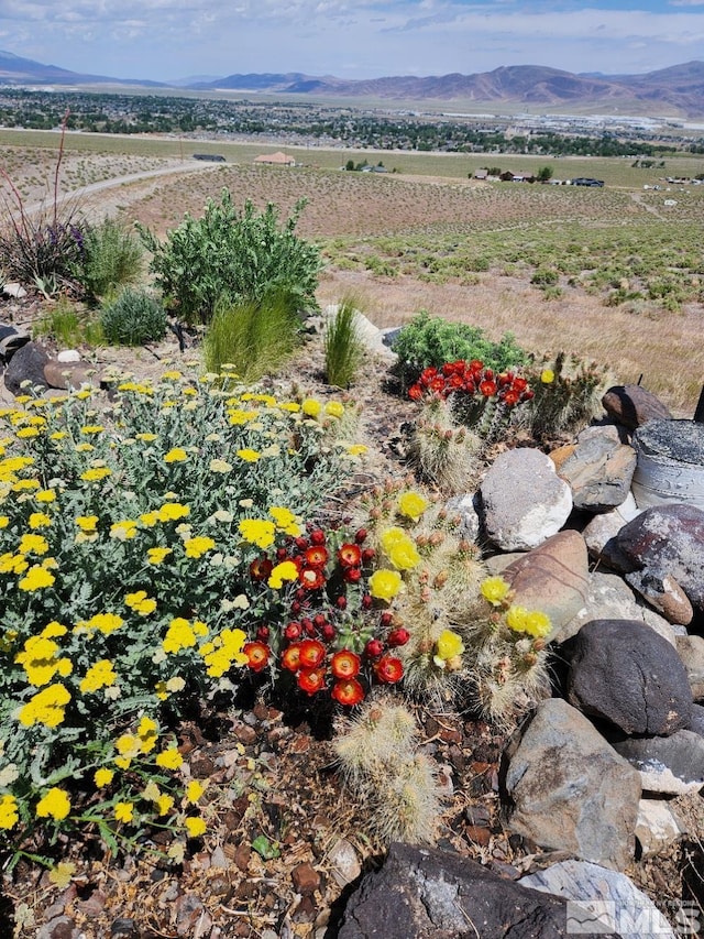 property view of mountains