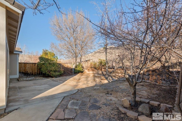 view of yard with a patio