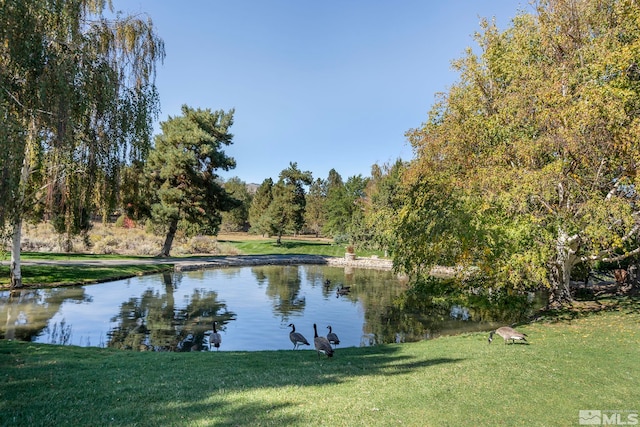 view of water feature