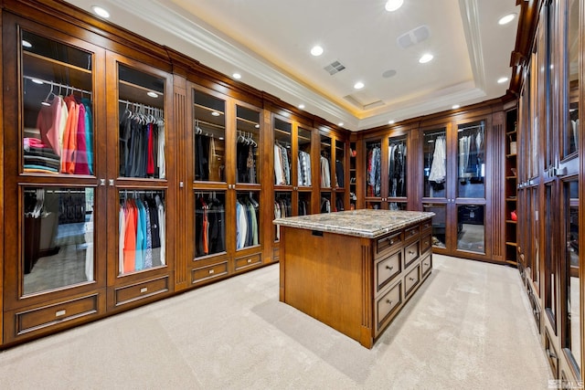 spacious closet featuring a raised ceiling and light carpet