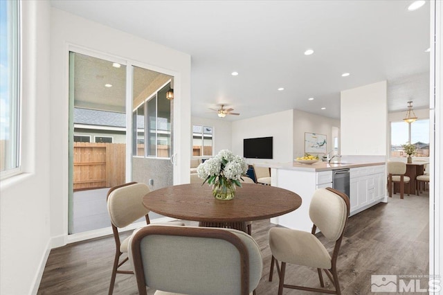 dining space featuring sink, ceiling fan, and dark hardwood / wood-style floors