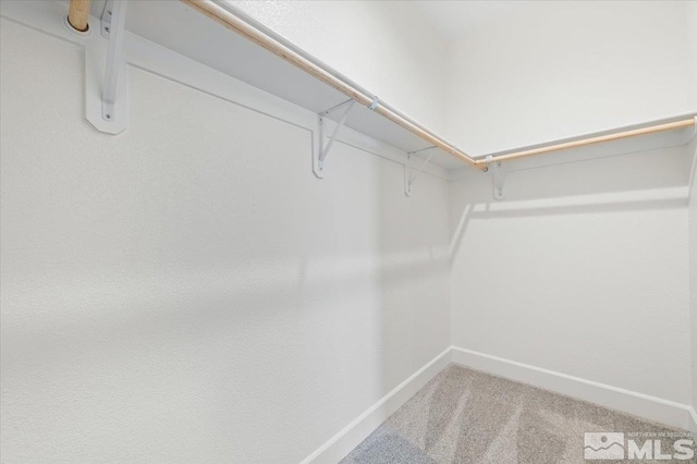 walk in closet featuring carpet flooring