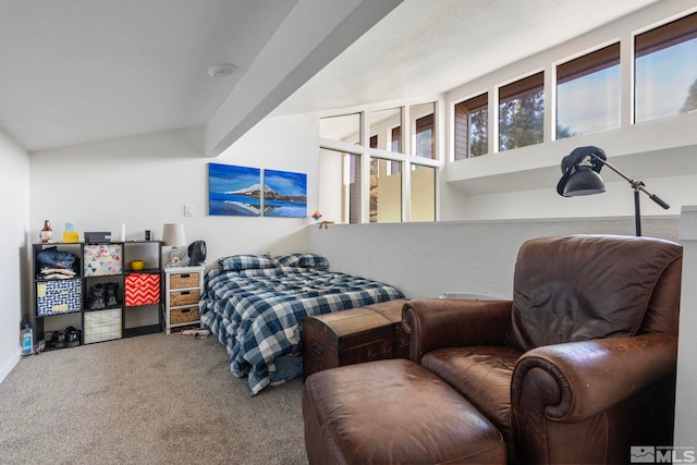 bedroom featuring carpet