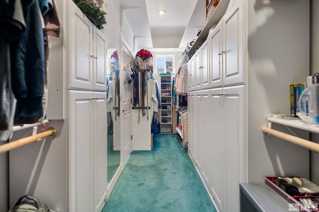 spacious closet with carpet flooring