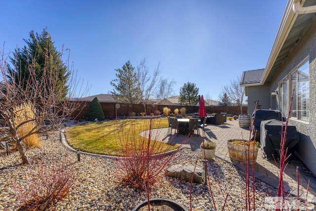 view of yard featuring a patio area