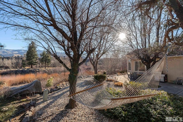 view of yard with a mountain view and a patio area