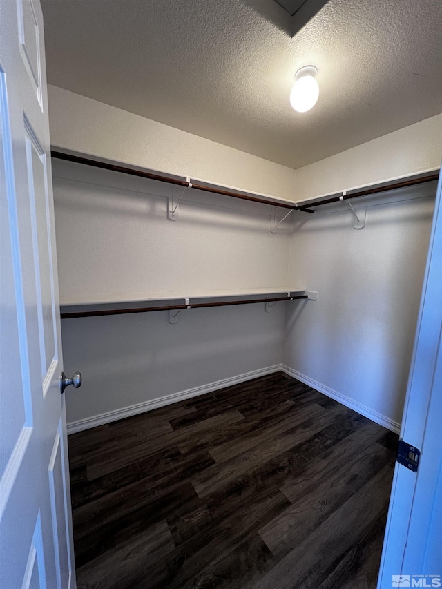 walk in closet featuring dark hardwood / wood-style floors